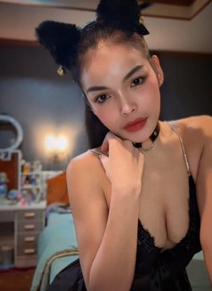 Nicha Fresh and New in Phuket - puta in Phuket Photo 5 of 8