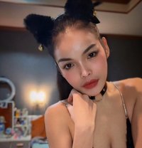 Nicha Fresh and New in Phuket - escort in Phuket