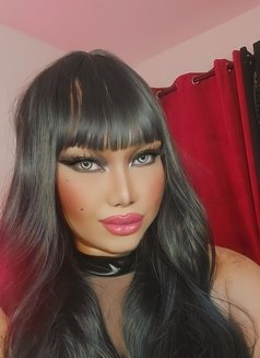 Nicha Next Door - Transsexual escort in Davao Photo 5 of 5
