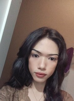 Nicha - Acompañantes transexual in Ko Samui Photo 1 of 9