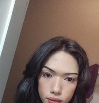 Nicha - Acompañantes transexual in Ko Samui