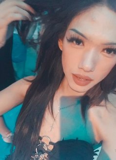 Nicha - Acompañantes transexual in Ko Samui Photo 2 of 9