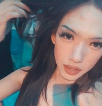 Nicha - Acompañantes transexual in Ko Samui