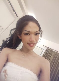 Nicha - Acompañantes transexual in Ko Samui Photo 3 of 9