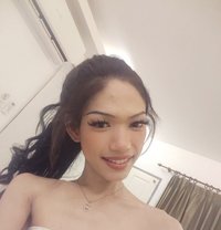 Nicha - Transsexual escort in Bangkok