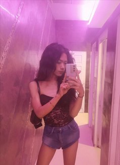 Nicha - Acompañantes transexual in Ko Samui Photo 7 of 9