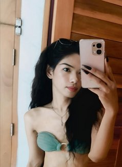 Nicha - Acompañantes transexual in Ko Samui Photo 9 of 9