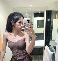 Nicha - Acompañantes transexual in Ko Samui Photo 7 of 9