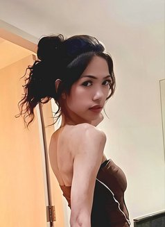 Nicha - Transsexual escort in Ko Samui Photo 9 of 12