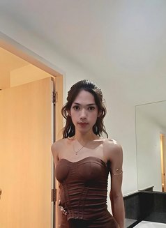 Nicha - Transsexual escort in Ko Samui Photo 10 of 12