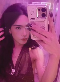 Nicha - Transsexual escort in Ko Samui Photo 12 of 12