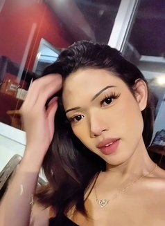 Nicha - Transsexual escort in Ko Samui Photo 10 of 12