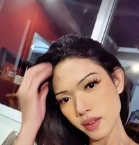 Nicha - Acompañantes transexual in Bangkok