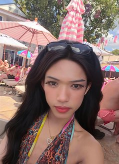 Nicha - Transsexual escort in Ko Samui Photo 11 of 12