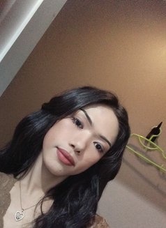 Nicha - Transsexual escort in Ko Samui Photo 12 of 12