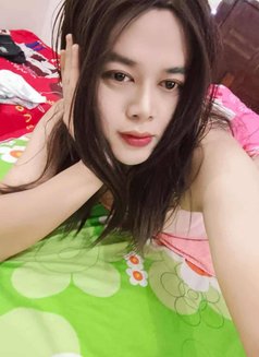 Nicha - Transsexual escort in Nizwa Photo 3 of 4