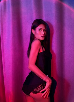 Nicha - Transsexual adult performer in Phuket Photo 7 of 7