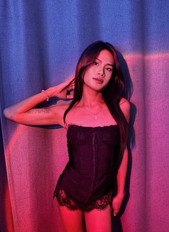 Nicha - Transsexual adult performer in Phuket Photo 7 of 8