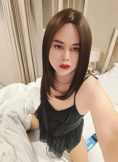 Nicha - Transsexual escort in Riyadh Photo 1 of 3