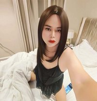 Nicha - Transsexual escort in Riyadh