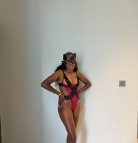 Nick New Business Bay - escort in Dubai