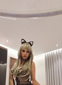 Nickey Bigdick New in Ksa🇸🇦 - Transsexual escort in Khobar Photo 2 of 3
