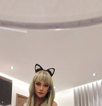 Nickey Bigdick New in Ksa🇸🇦 - Transsexual escort in Khobar