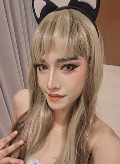 Nickey Bigdick New in Ksa🇸🇦 - Transsexual escort in Khobar Photo 3 of 3