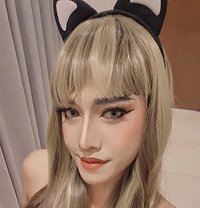 Nickey Bigdick New in Ksa🇸🇦 - Transsexual escort in Khobar Photo 3 of 4