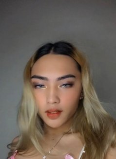 Nickita1215 - Transsexual escort in Manila Photo 8 of 8