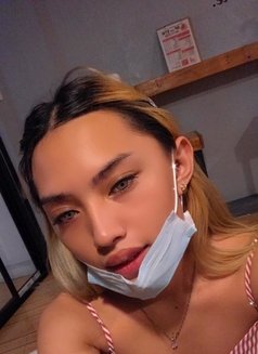 Nickita1215 - Transsexual escort in Manila Photo 5 of 8