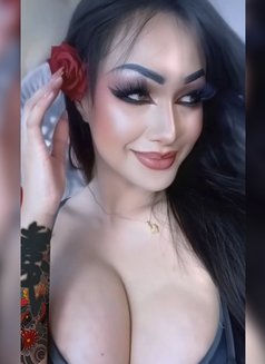 Nicky Both Thailand 🇹🇭 - Transsexual escort in Muscat Photo 2 of 28