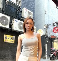 Nicky - Transsexual escort in Seoul