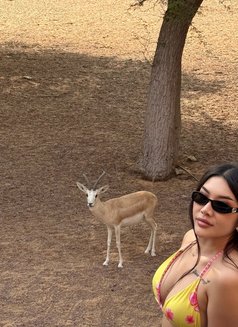 Nicky - Masajista in Abu Dhabi Photo 13 of 13