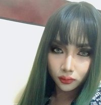 Nicky - Transsexual escort in Pattaya