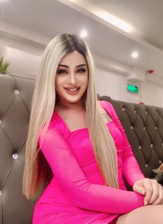 Nicky top ladyboy - Transsexual escort in Al Manama Photo 11 of 15