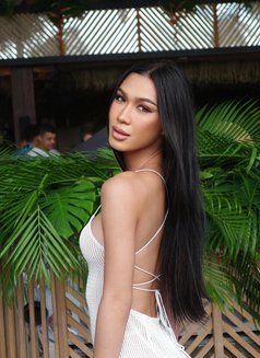 Nicloe - Transsexual escort in Phuket Photo 11 of 16