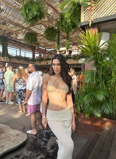 Nicloe - Transsexual escort in Phuket Photo 14 of 16
