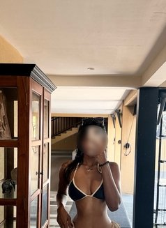 Nico ( Foreigners Only) - escort in Colombo Photo 25 of 28