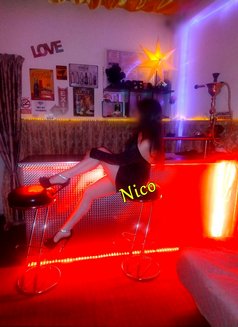 Nico - masseuse in Bucharest Photo 4 of 5