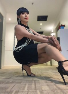 Nicolas - Acompañantes transexual in Kuala Lumpur Photo 7 of 7