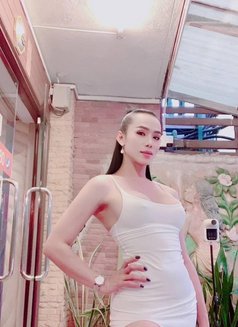 Nicolas - Transsexual escort in Kuala Lumpur Photo 5 of 13