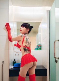 Nicolas - Transsexual escort in Kuala Lumpur Photo 12 of 13