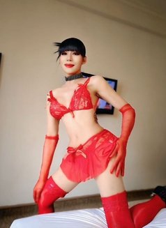 Nicolas - Transsexual escort in Kuala Lumpur Photo 13 of 13