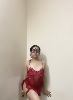 Nicole bottom - Acompañantes transexual in Al Ain Photo 27 of 30