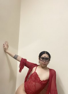 Nicole bottom - Acompañantes transexual in Al Ain Photo 28 of 30