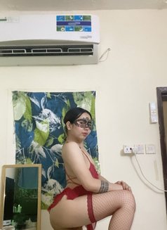 Nicole bottom - Acompañantes transexual in Al Ain Photo 29 of 30