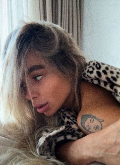Nicole brasil 🇧🇷🏻♀️🫦 - puta in Abu Dhabi Photo 13 of 14