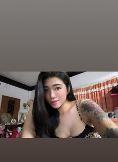 NICOLE - Transsexual escort in Bangkok Photo 10 of 10