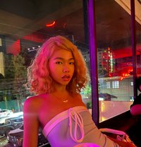 Nicole - Transsexual escort in Cebu City